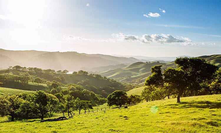 Rolling green hills of the Tri-Valley